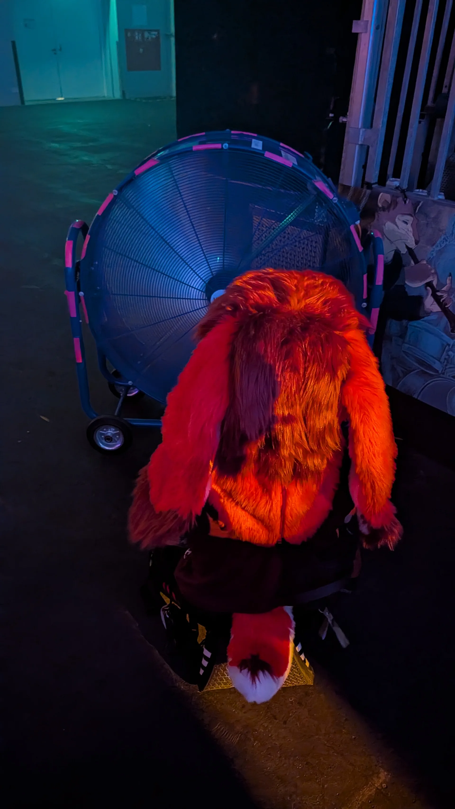 PXL_20260822_211709142.RAW-01.jpg